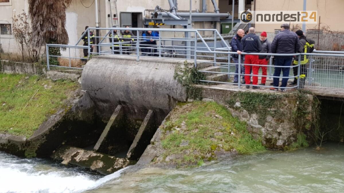 Trovato nel canale Ledra il corpo del 67enne scomparso da ieri - 