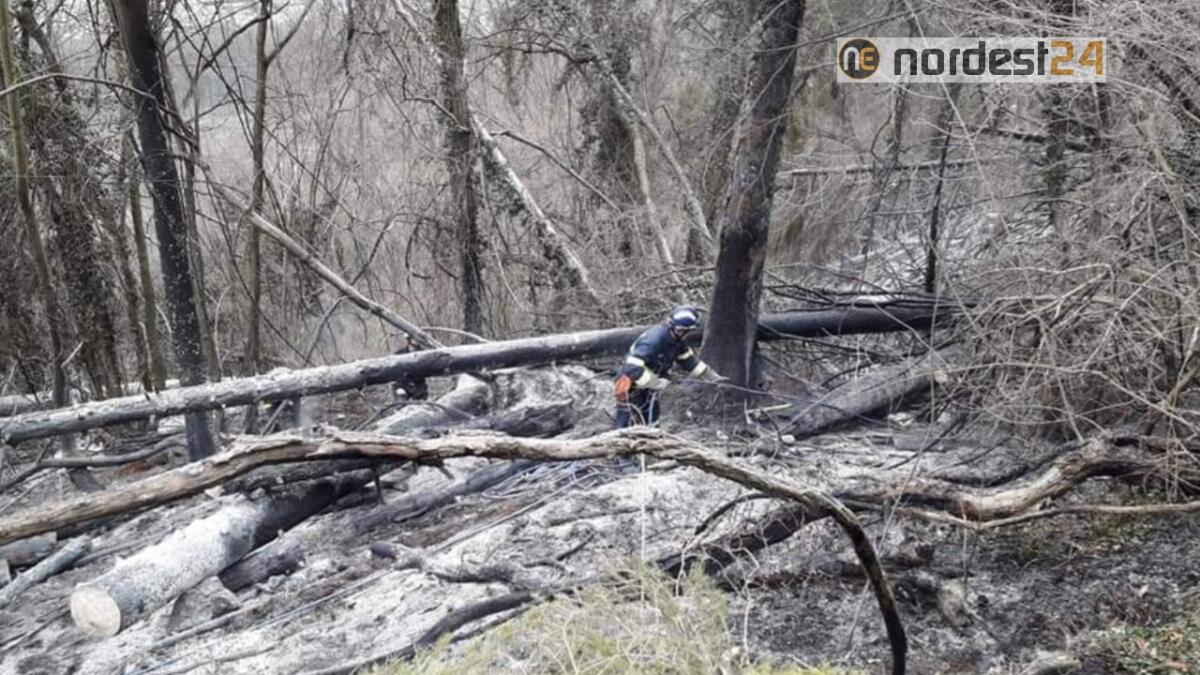 Boschi in fumo nella notte sul Col Melon, sopra Pedavena (BL) - 