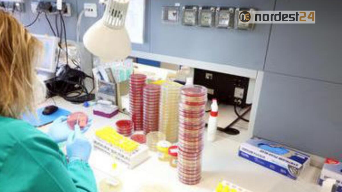 Coronavirus, negativo il test sulla ragazza di Lignano - 