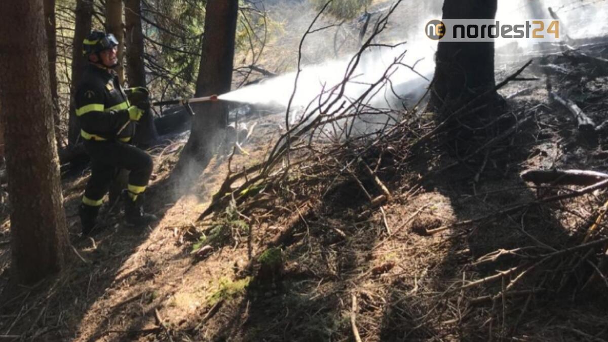 Incendio boschivo a Ciattaro in comune di Roana (VI) - 