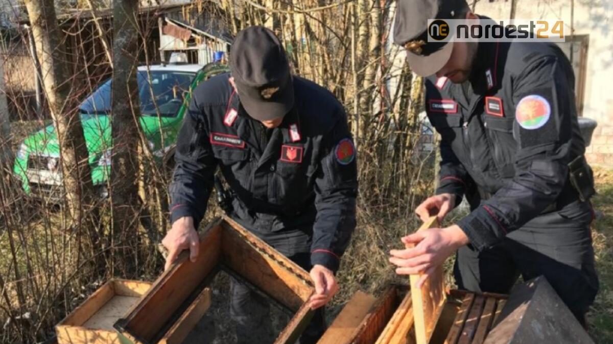 Miele dall’Est Europa e dal Centro America spacciato per vicentino - 