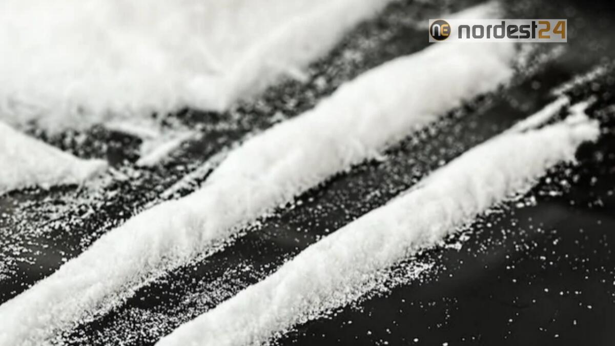 Pordenone. Traffico di cocaina per 120 milioni: arrestato 42enne albanese - 