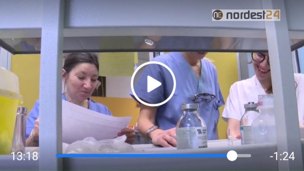 Udine. Inaugurato l'Hospice, potranno entrare anche gli animali d'affezione - 