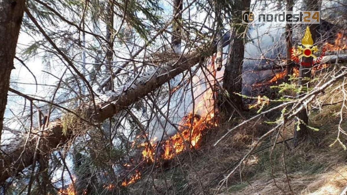 Vasto incendio boschivo in comune di San Pietro di Cadore - 