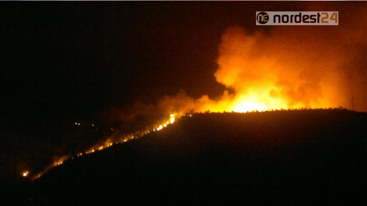 Vasto incendio boschivo in zona Col Melon, sopra Pedavena - 