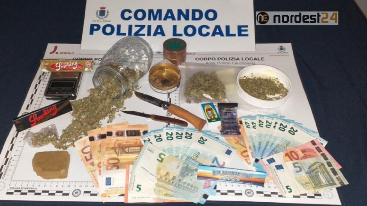 Jesolo. Il cane poliziotto fiuta la droga nell'auto: 20enne denunciato - 