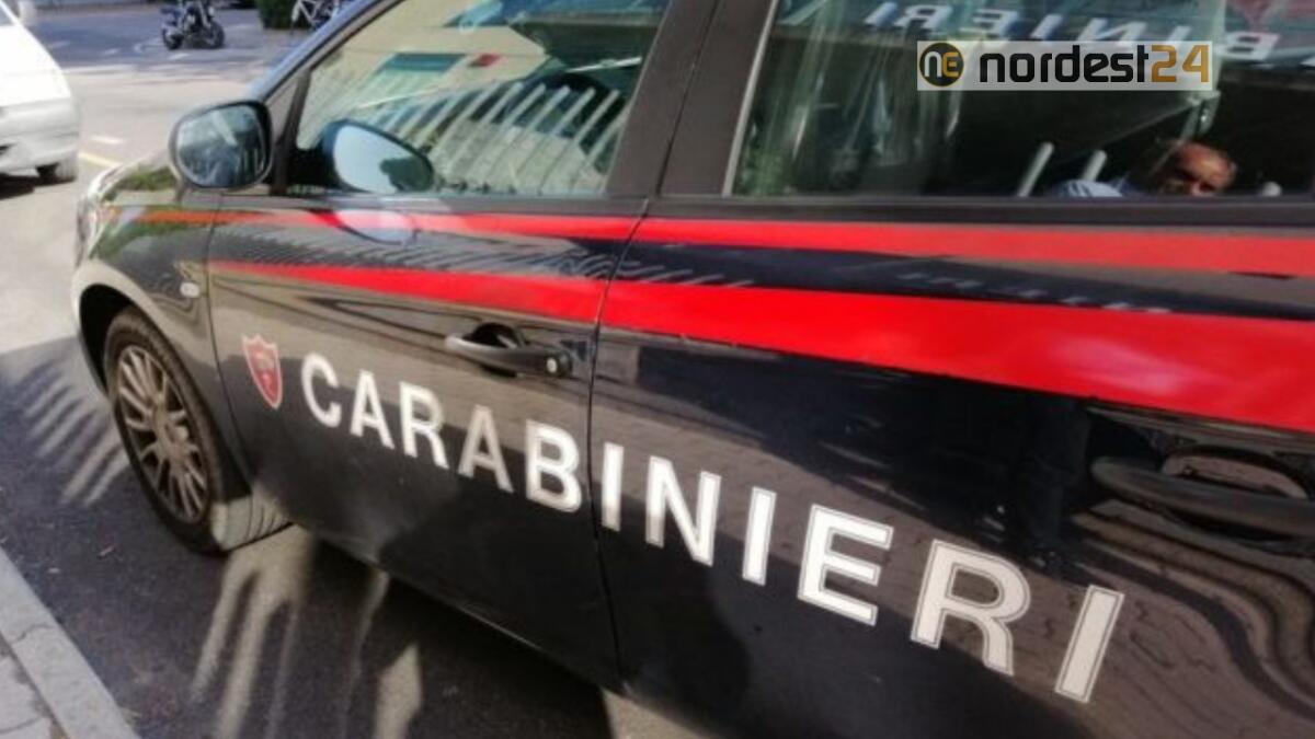 La droga era nascosta tra i mobili della cucina: denunciato 58enne - 