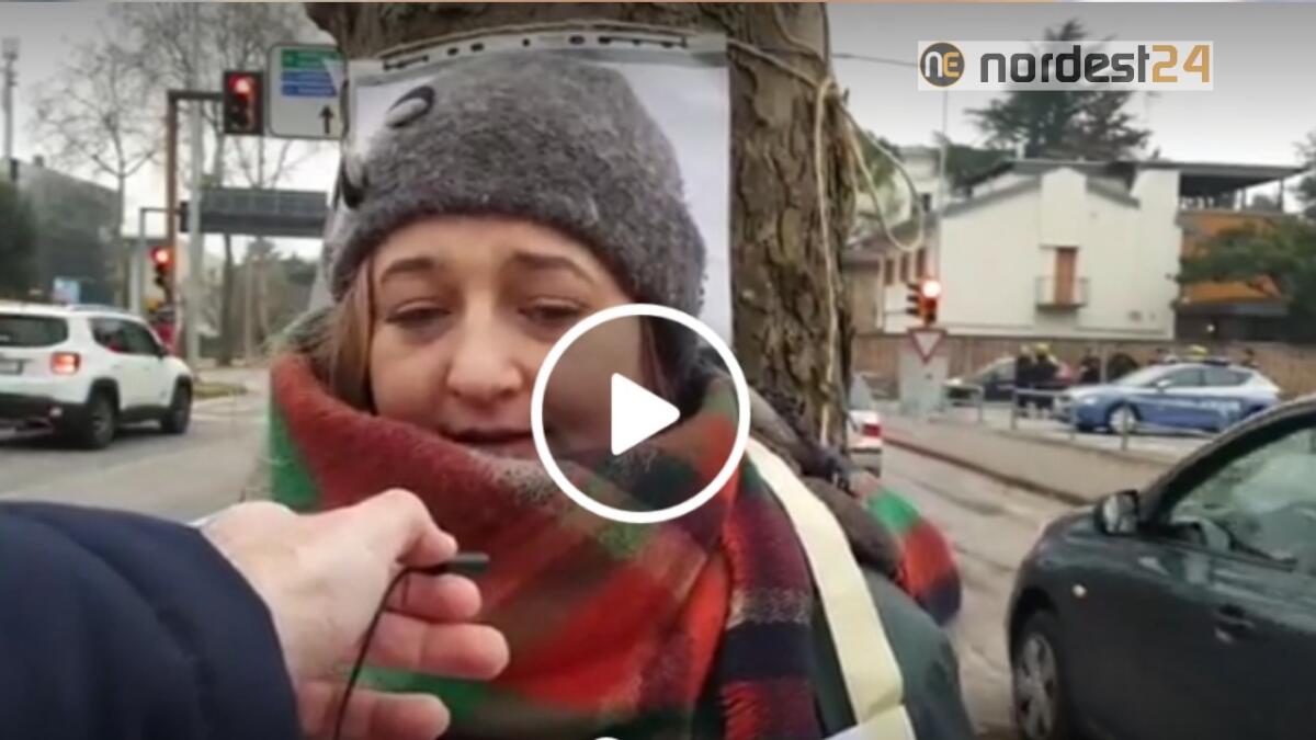 Udine, incatenati agli alberi che il Comune vuole abbattere - VIDEO/FOTO - 