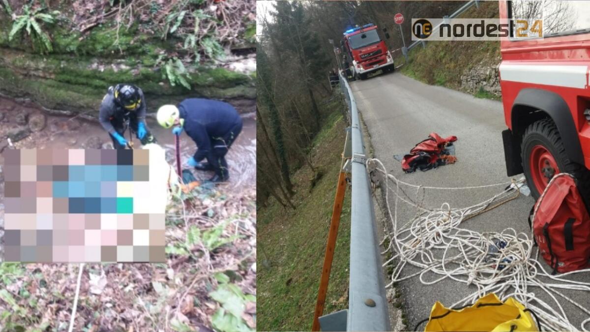 Cade mentre taglia le piante: morto un 57enne - 