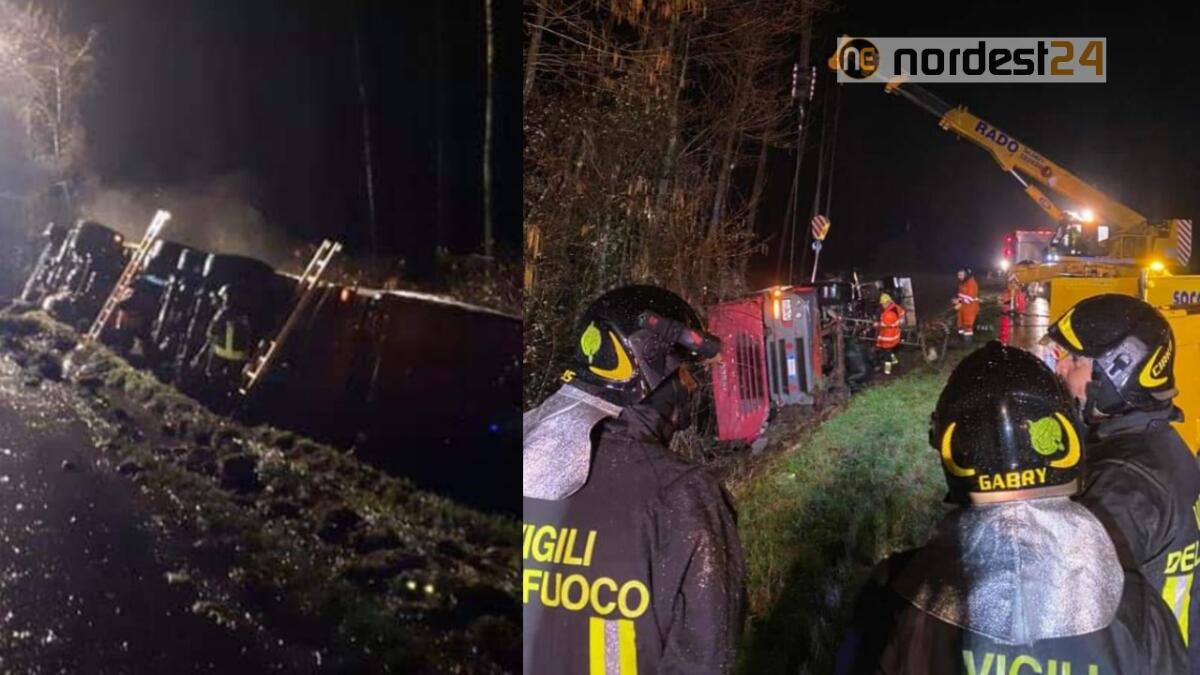 Camion con a bordo 3000 polli si rovescia  lungo la Ferrata - 