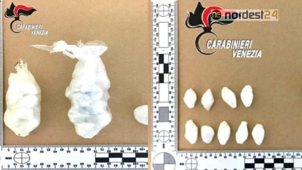 San Donà. Al parco con diverse dosi di eroina e cocaina: arrestato 22enne nigeriano - 