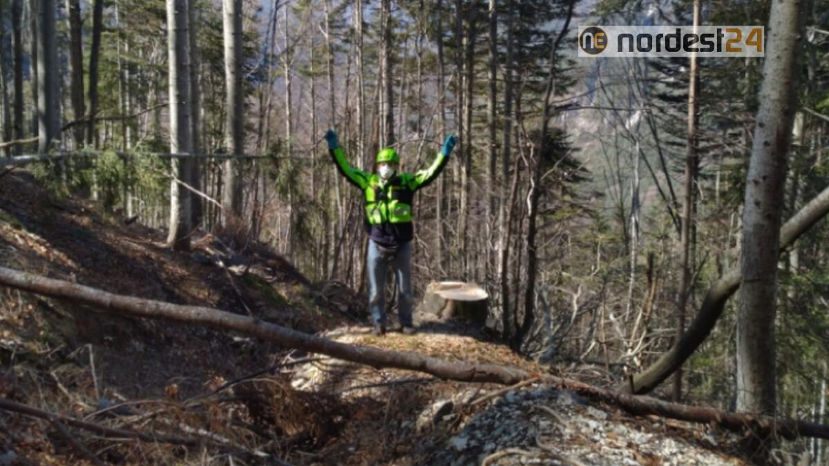 Boscaiolo al lavoro nelle Alpi Giulie si ferisce: soccorso - 