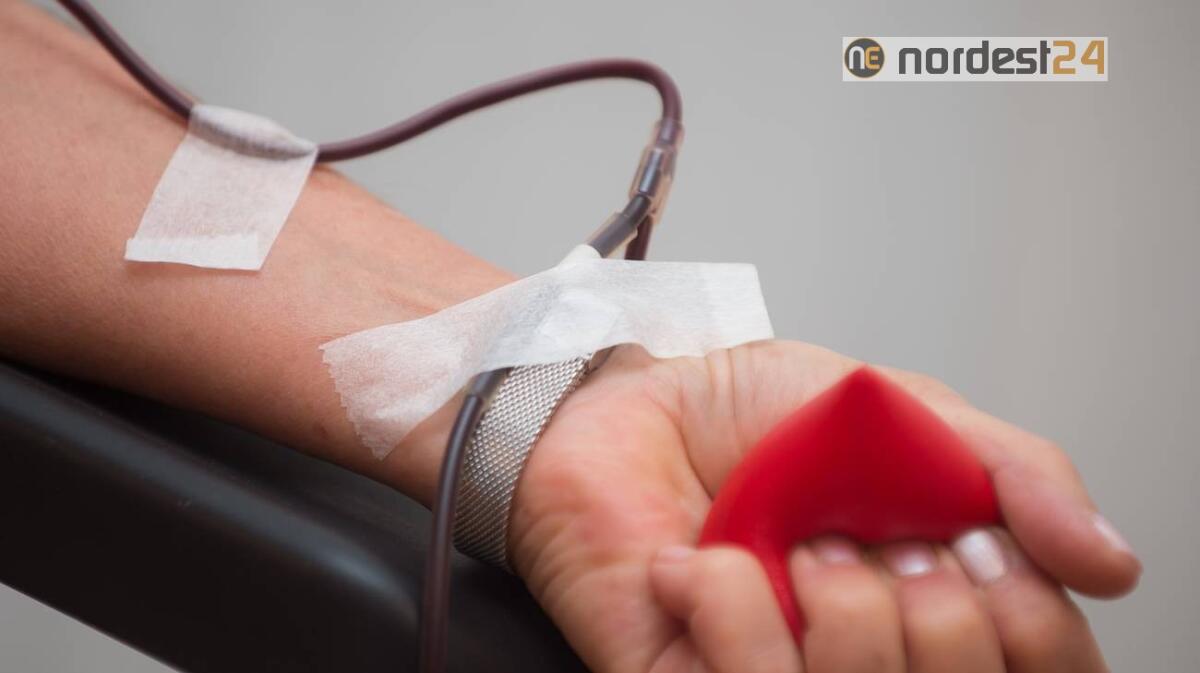 Coronavirus, Riccardi: "grazie ai donatori di sangue per ripristino scorte" - 
