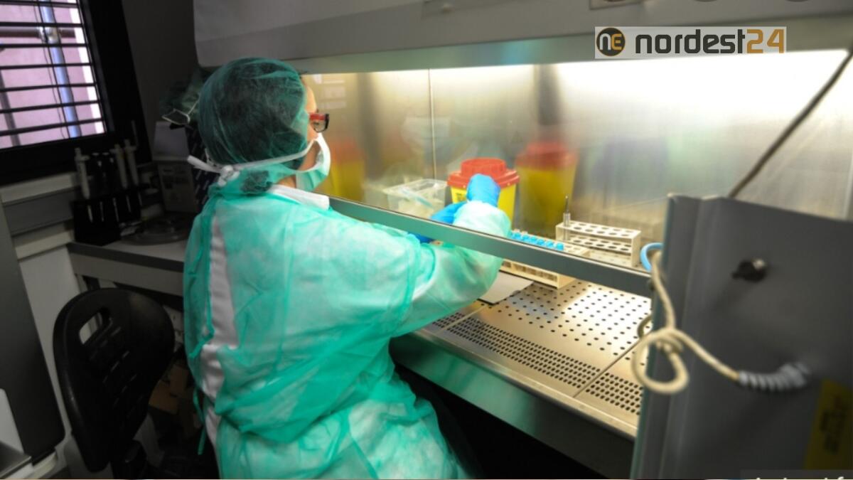 Udine, sacerdote positivo al Coronavirus: chiuso il seminario e 35 in quarantena - 