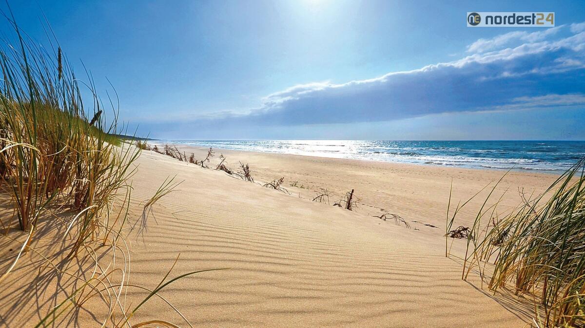 A Bibione si rafforzano i controlli nelle festività di Pasqua e Pasquetta - 