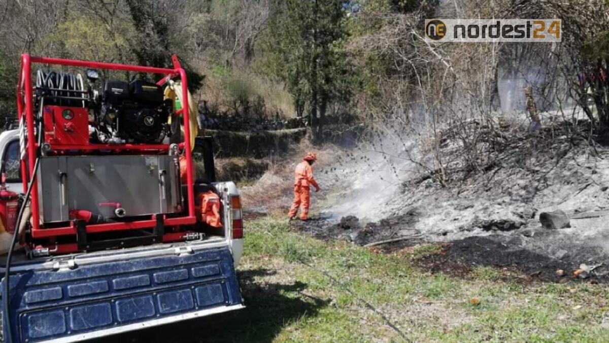Incendio boschivo in località Terzo di Tolmezzo (UD) - 