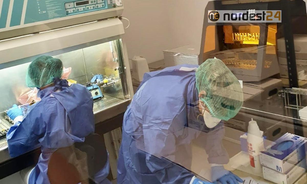Coronavirus: in Fvg 2.731 positivi (+56da ieri), 222 decessi e 893 guariti - 