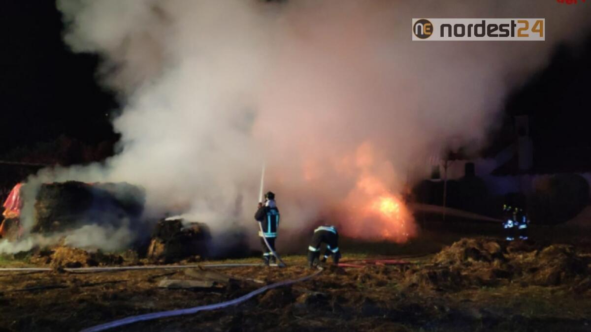 Incendio a Santa Maria di Sala (VE): bruciate 30 rotoballe nella notte - 