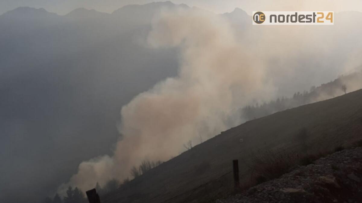 Incendio boschivo sul Monte Novegno a Schio: vigili del fuoco al lavoro - 