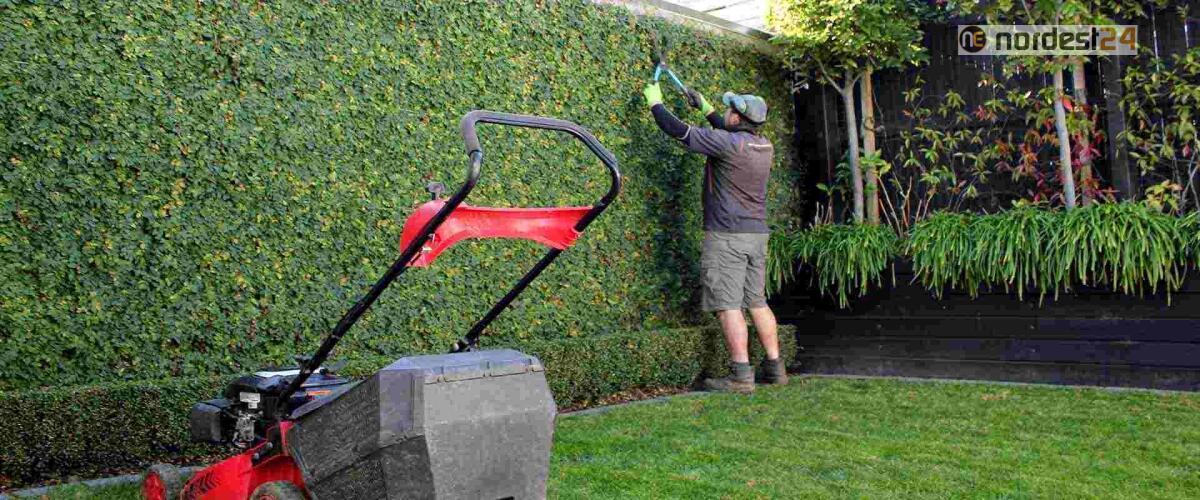 Giardinieri a Fedriga: "Faccia come Zaia, deroga per le manutenzioni del verde" - 