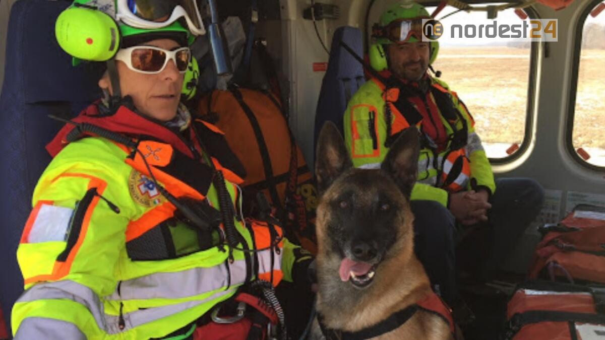 Mancato rientro: 46enne trovata nei boschi grazie al fiuto dei cani - 