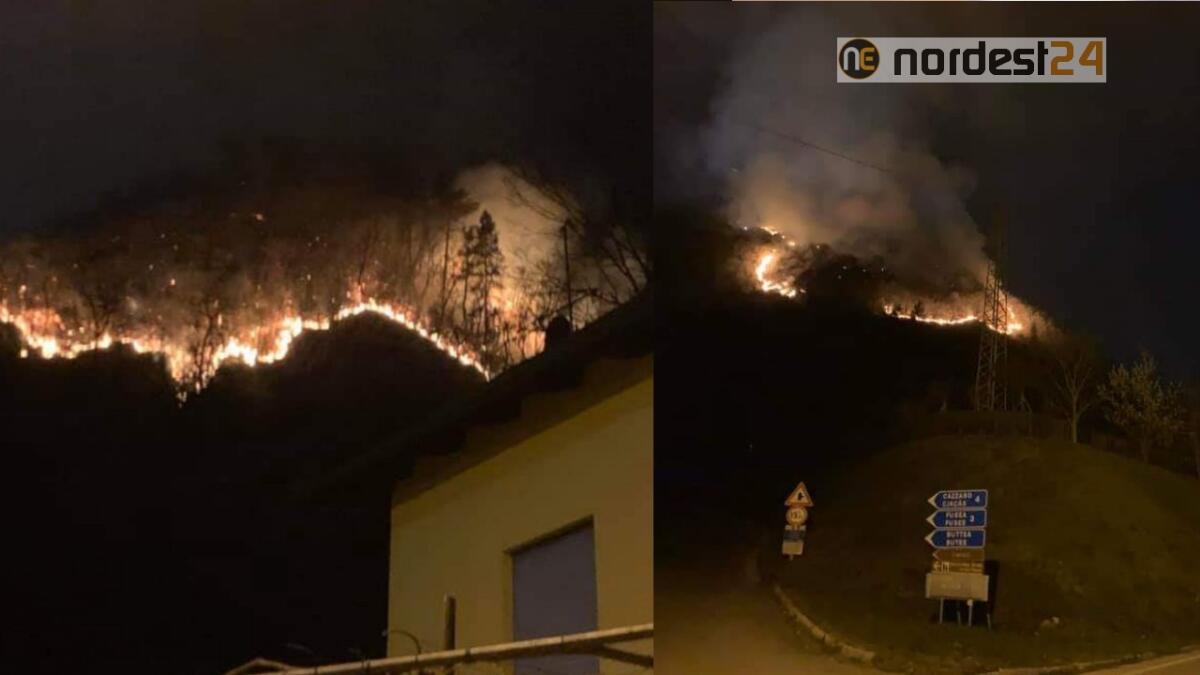 Tolmezzo. Incendio boschivo doloso tra Fusea e Casanova nella notte - 