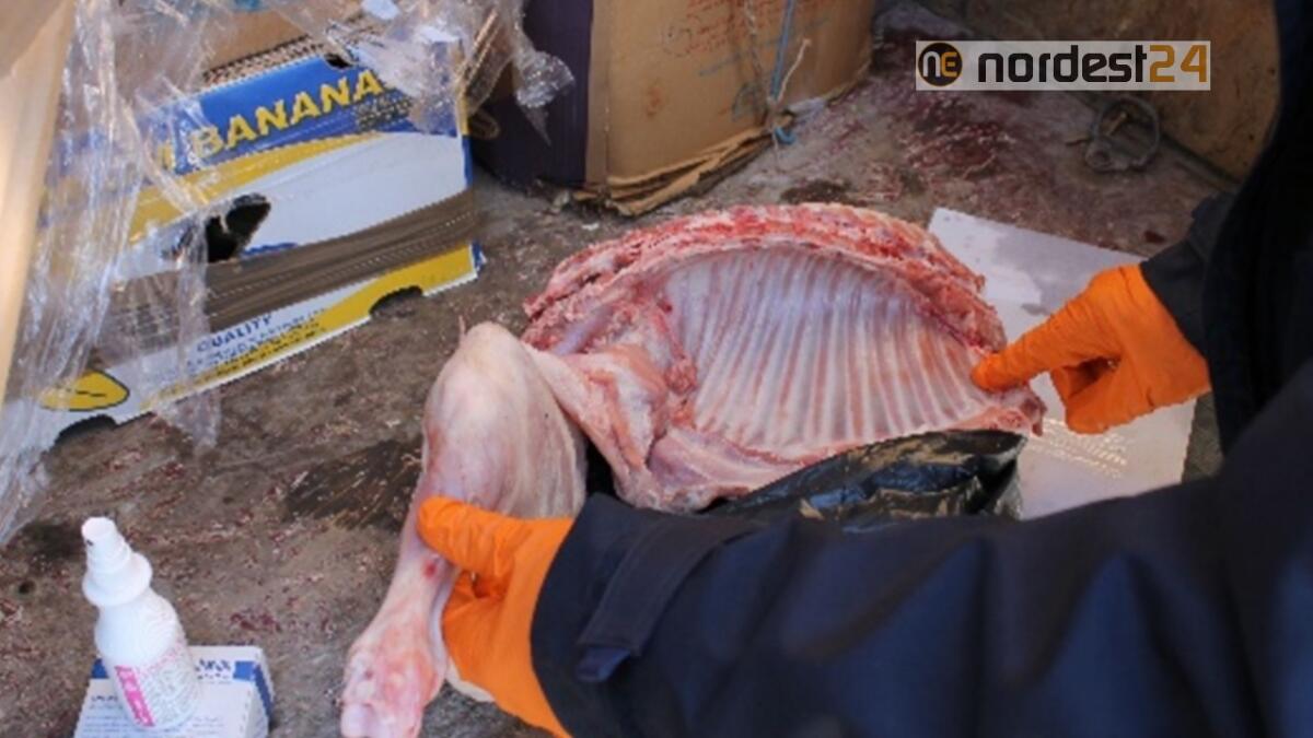 Udine. Shock in A4: carne cruda mal conservata nei sacchetti della spazzatura - 