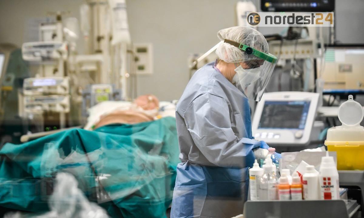 Coronavirus, il Veneto supera gli 11.000 casi, +280 contagi da ieri - 