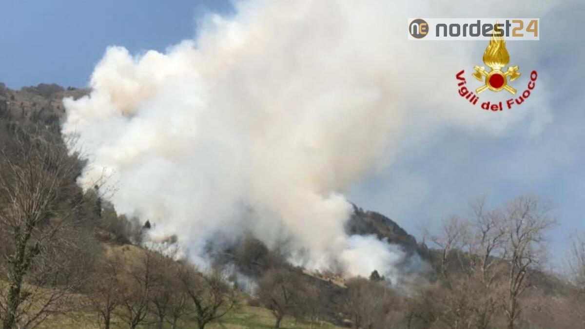 Incendio sul monte Marana di Crespadoro: maxi lavoro per i vigili del fuoco - 