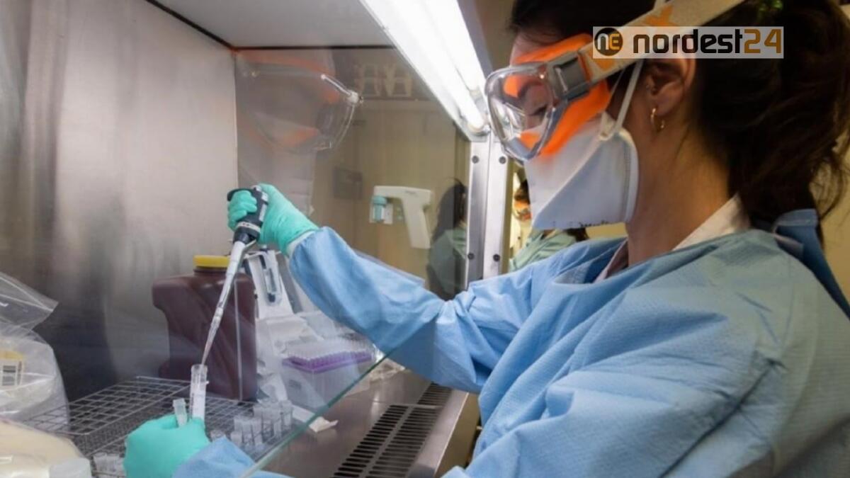 Coronavirus, Fvg: 2.349 positivi (+50 da ieri), 179 decessi e 440 guariti - 