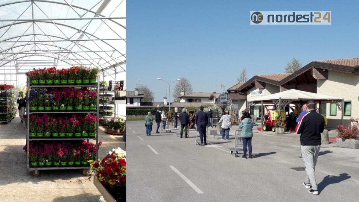 In Fvg è "orto-mania", +20% del fatturato ad aprile - 