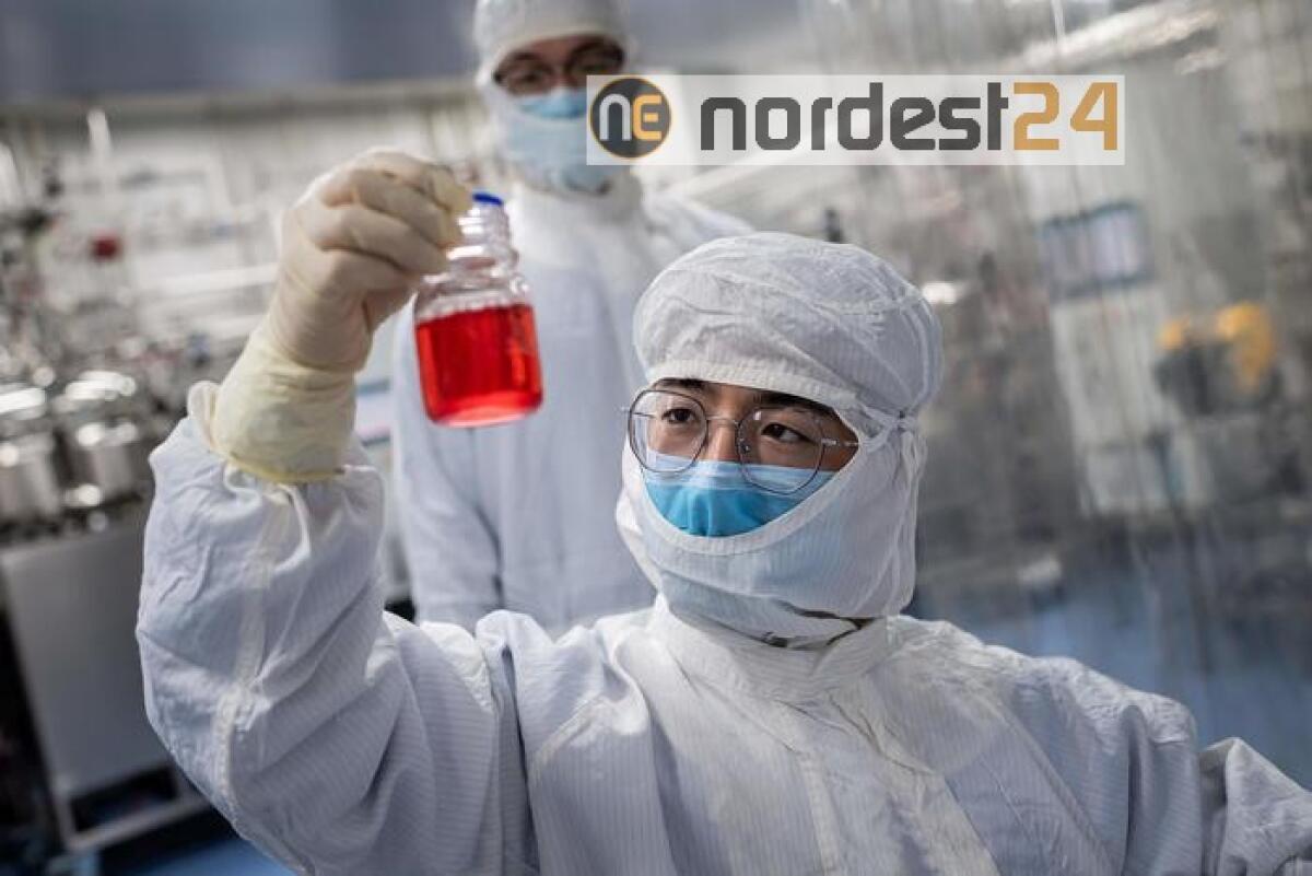 Cina, immorale accusarci senza prove - 