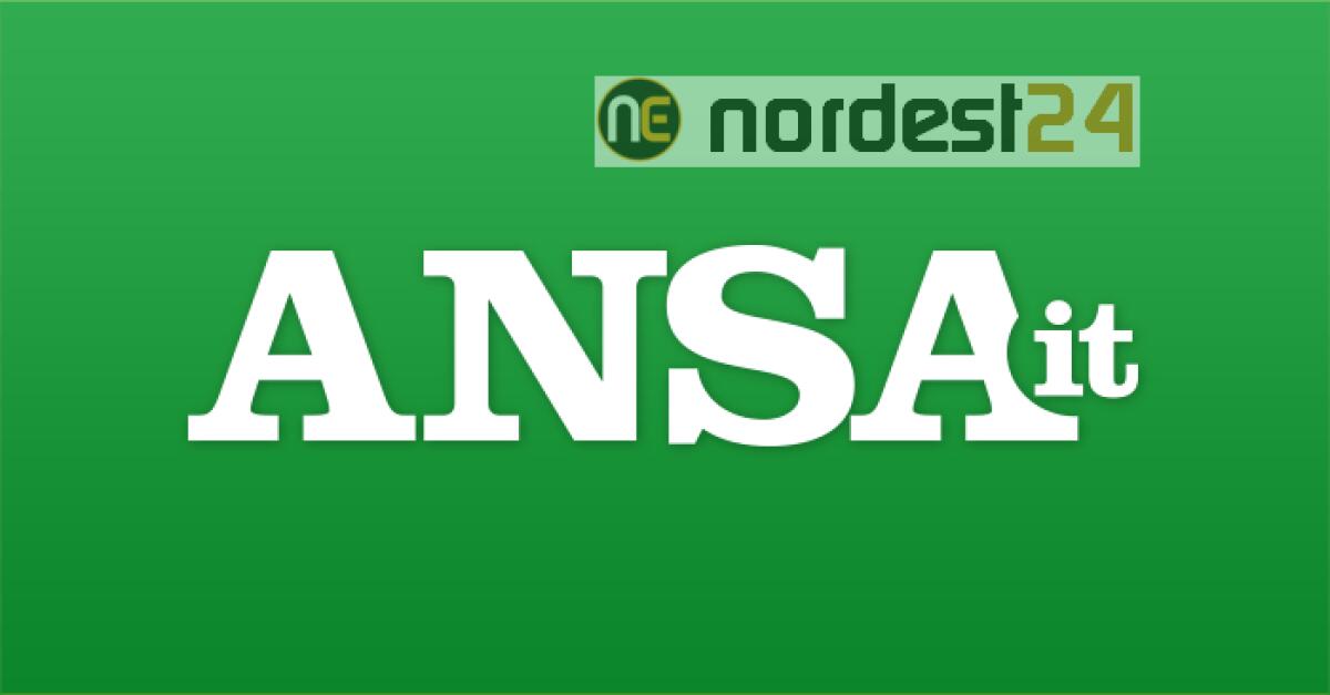 Guns'n Roses annullano tour in Europa - 