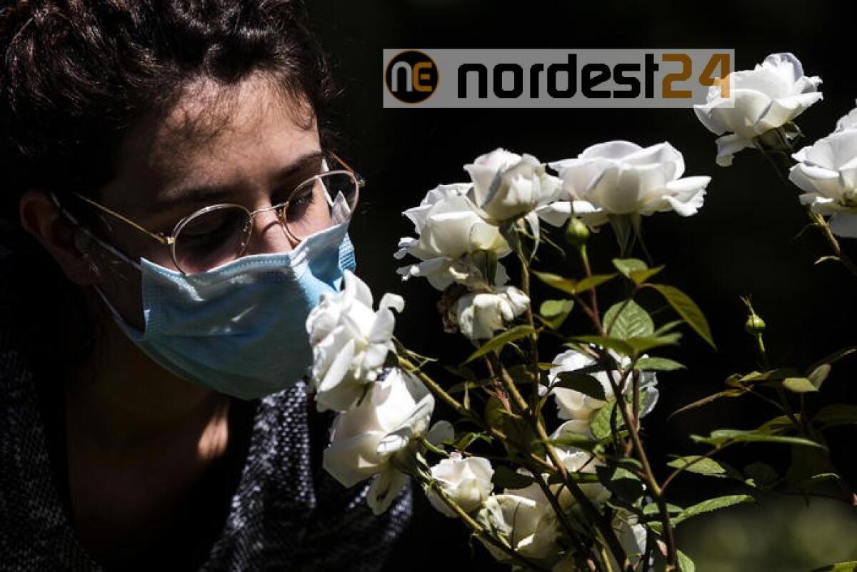 Ferrara, stop a mascherina in strada - 