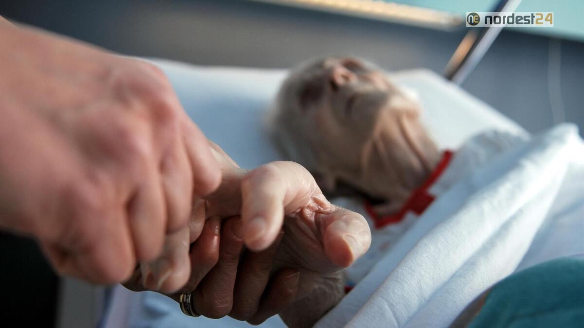 Fvg, Riccardi: "cure palliative percorso di civiltà" - 