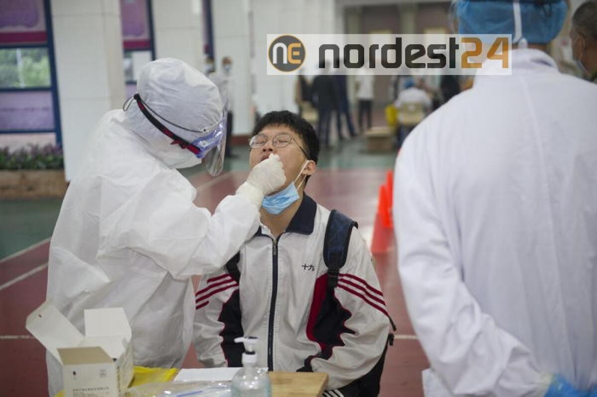 Cina, aperti a sforzi su origine virus - 