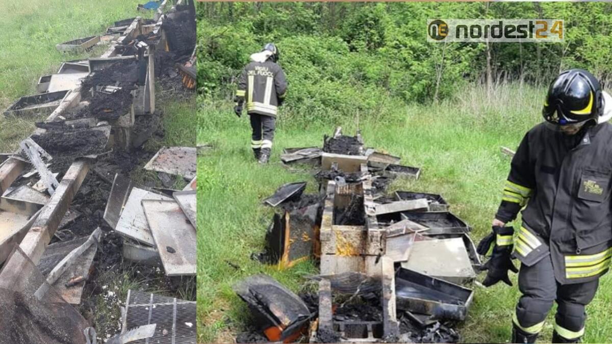 San Lorenzo Isontino. Incendio doloso: bruciate vive 2 milioni di api - 