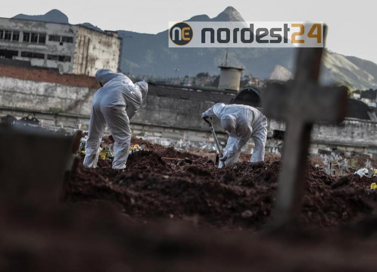 Coronavirus, America Latina: 21400 morti - 