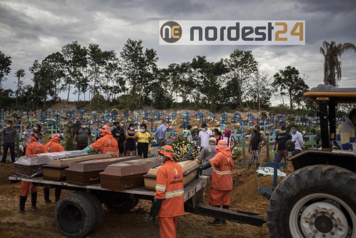 Coronavirus: Brasile, 11.000 morti - 