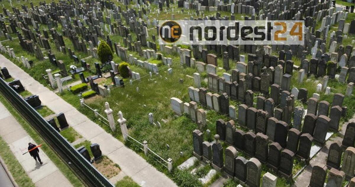 Virus: Usa, oltre 1.500 morti in 24 ore - 