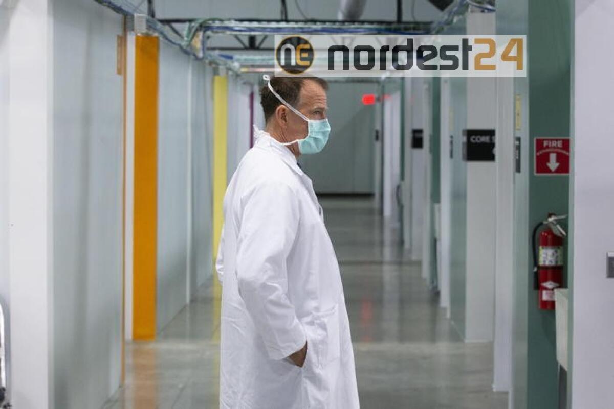 Coronavirus: 80.000 morti negli Usa - 