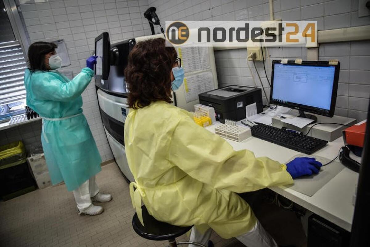 Da recuperare 4 mln screening oncologici - 