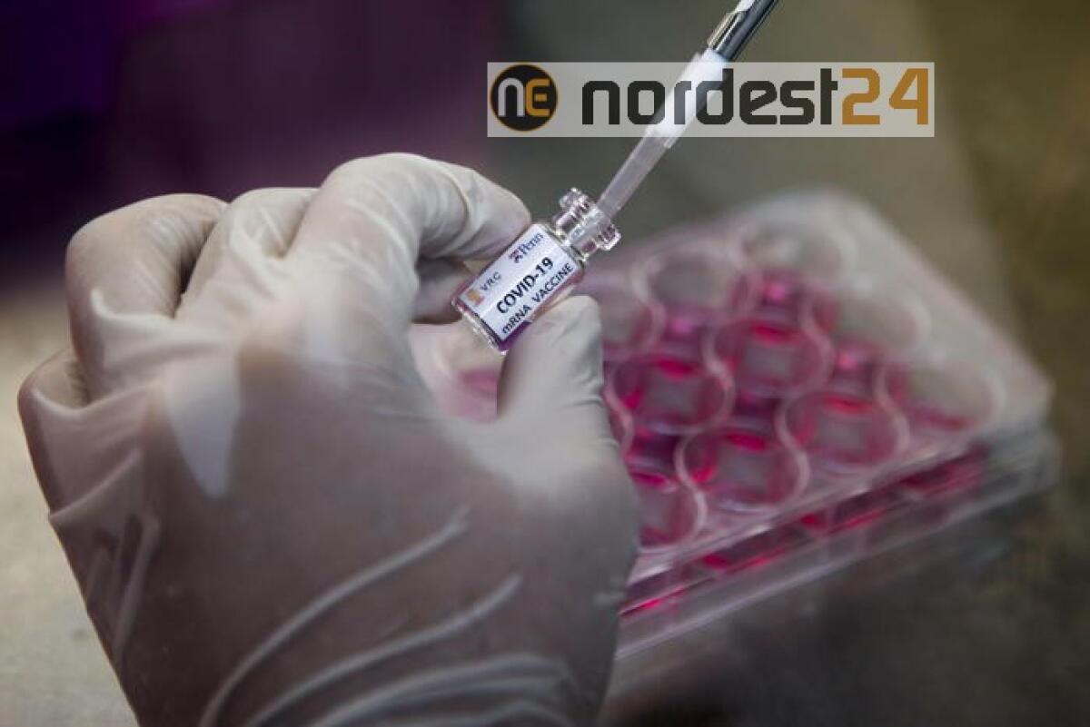 Francia vieta cura all' idroclorochina - 