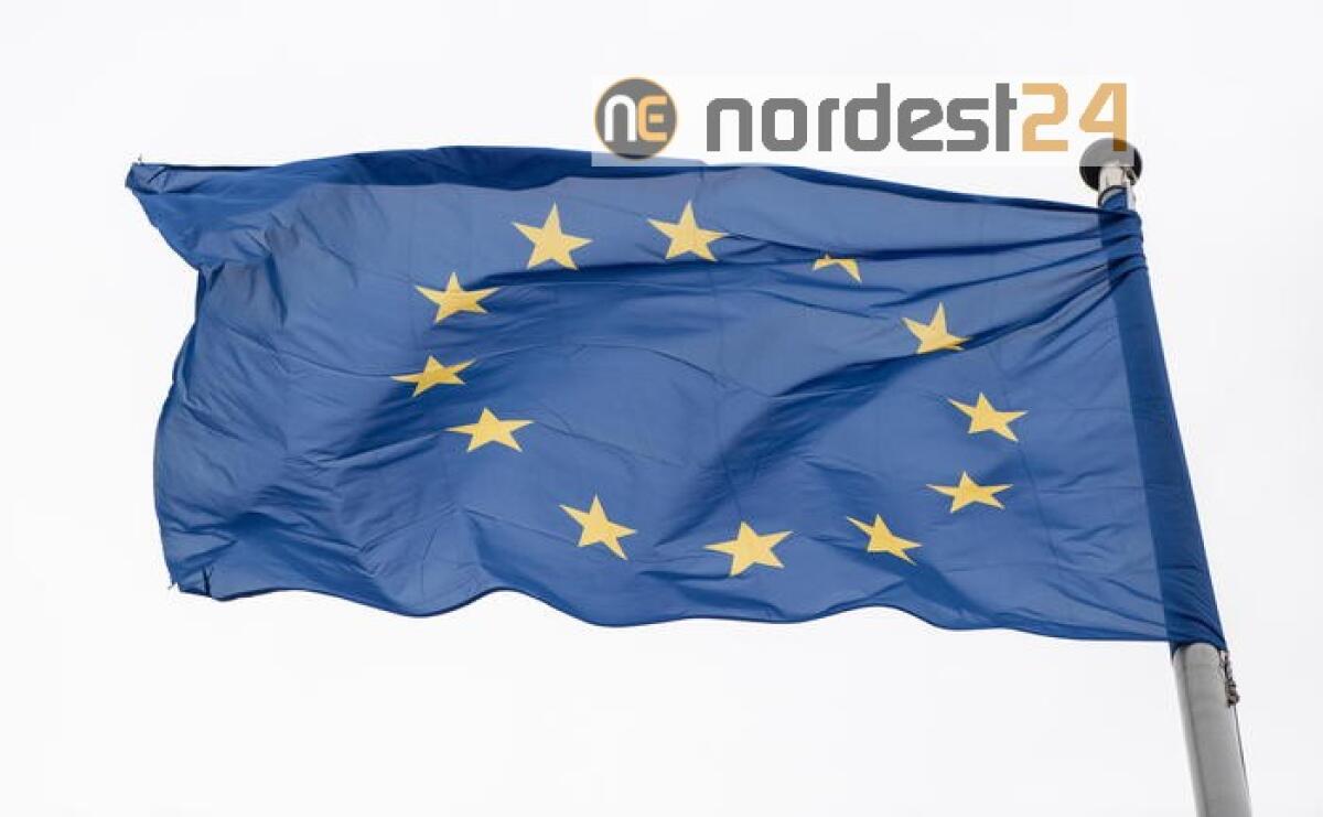 Ue, Cina rispetti autonomia Hong Kong - 