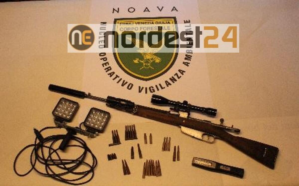 Corpo forestale: bracconieri sorpresi a Romans d'Isonzo - 