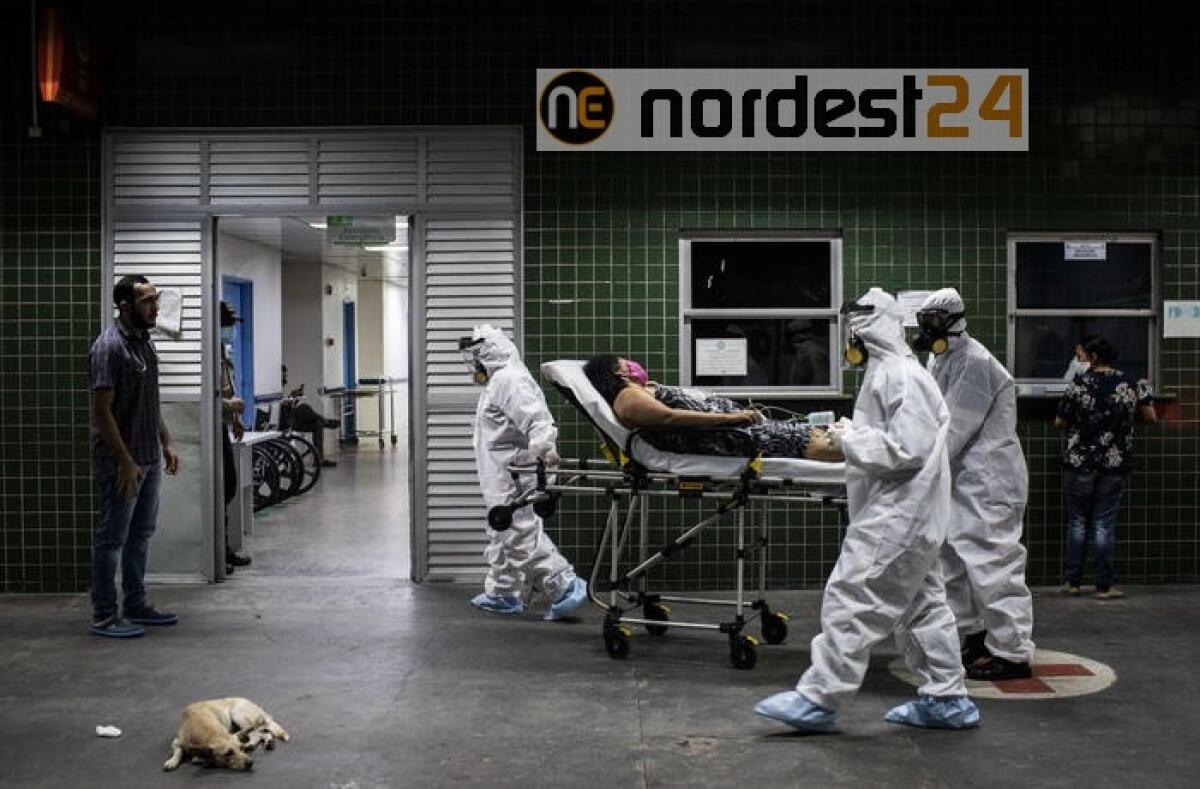 Coronavirus: Brasile, colpite 44 tribù - 