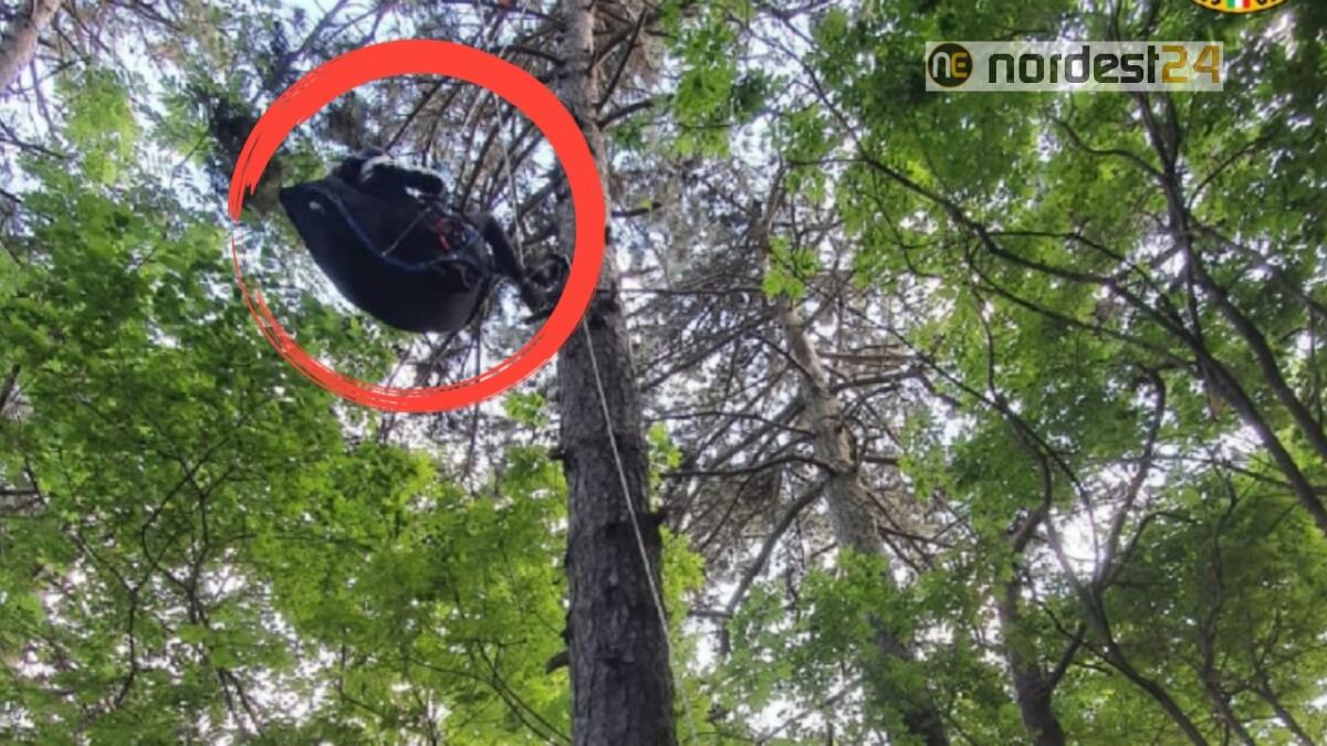 Precipita con il parapendio e rimane appesa all'albero: salvata - 