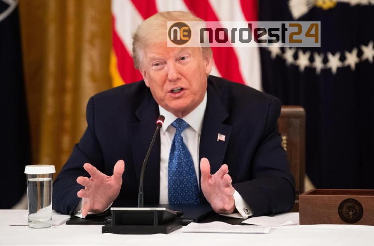 Trump, primato virus Usa è un onore - 