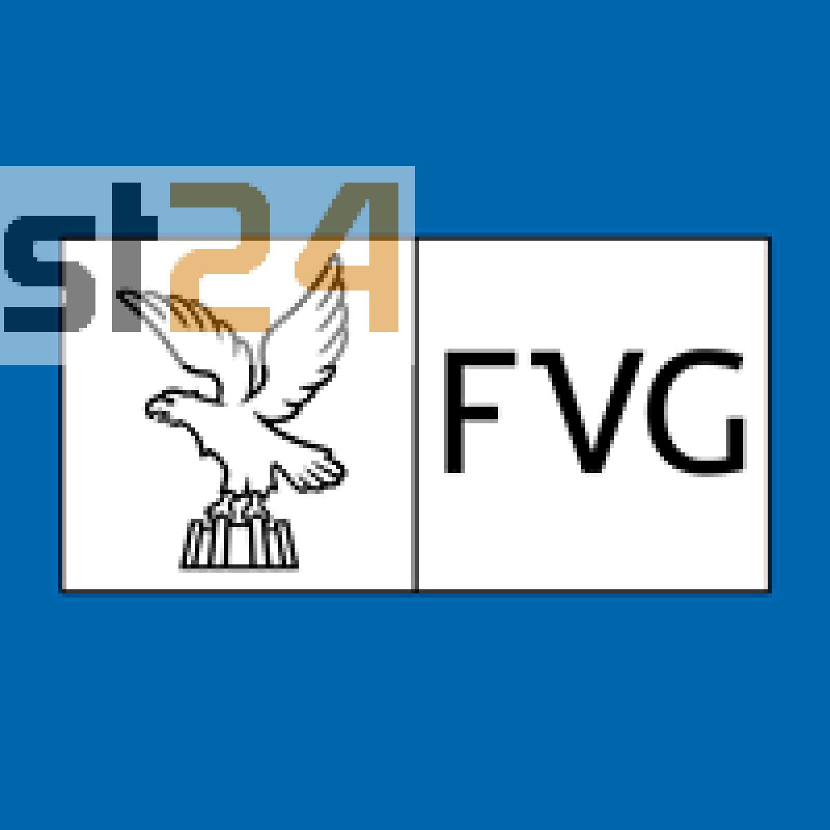 Coronavirus: in Fvg 3.094 positivi, 306 decessi e 1.706 guariti - 