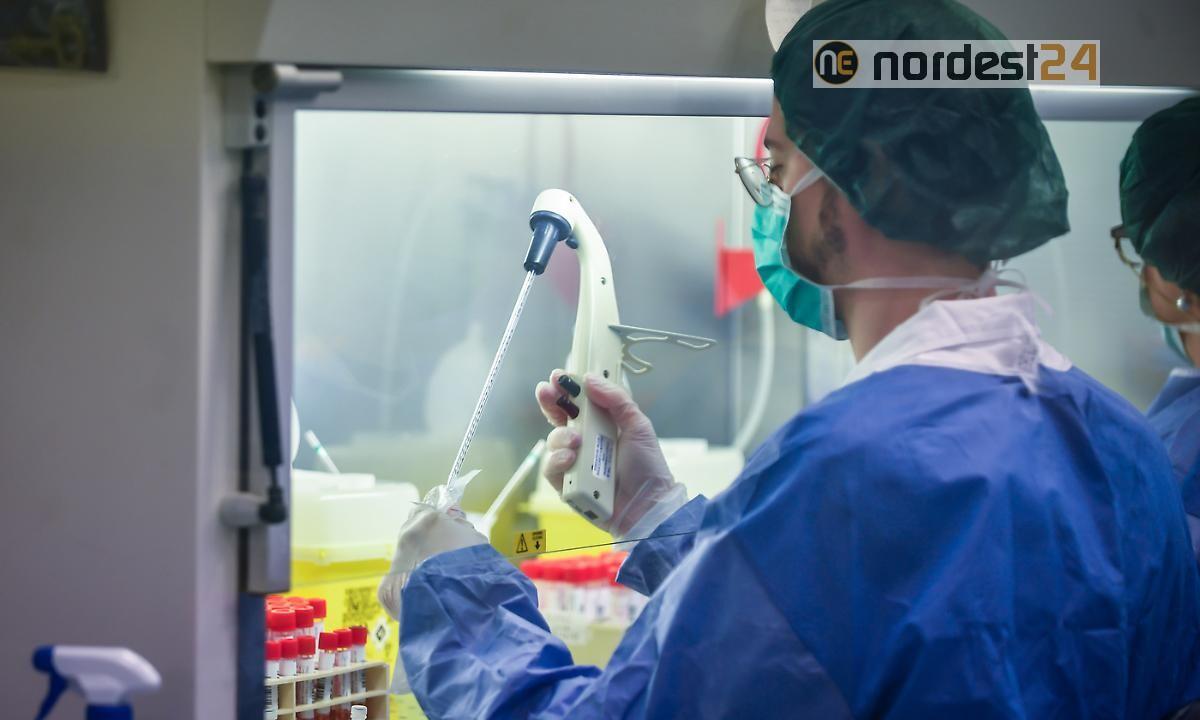 L'esperto: "coronavirus sta perdendo potenza, meno contagioso e meno letale" - 